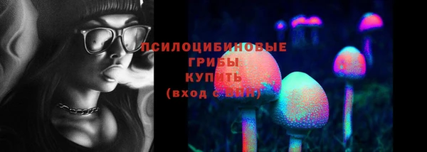 дурь Покровск